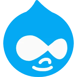 Drupal management requires technical skills, but is more suitable for complex and large scale website development projects